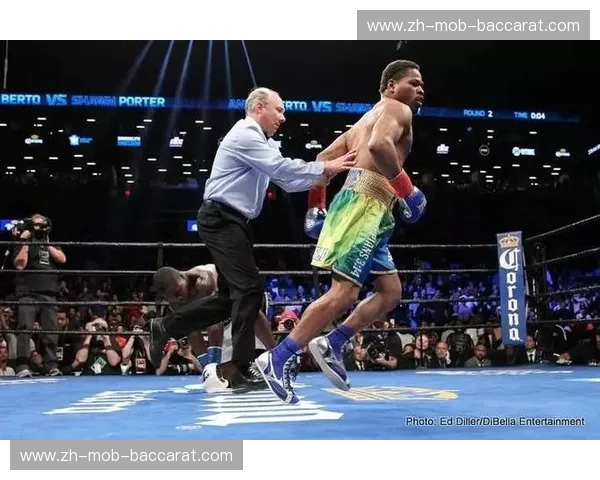 贝托vs.波特：当创新遇上经典，谁是未来的设计之光？